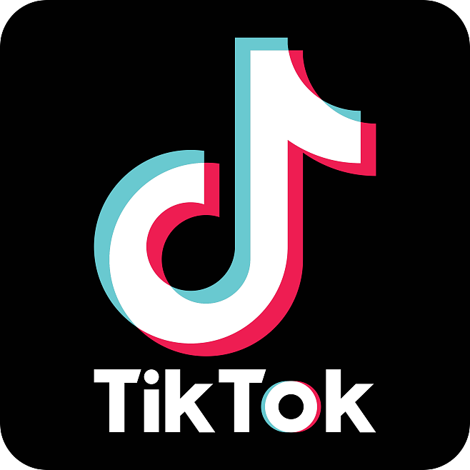 TikTok 下载助手图标